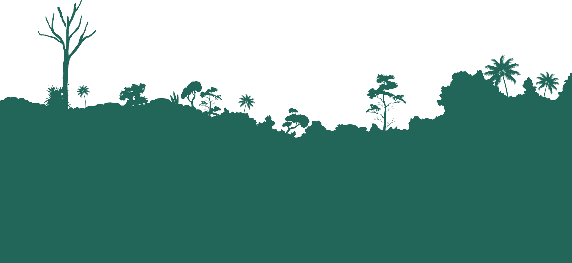 Footer Background